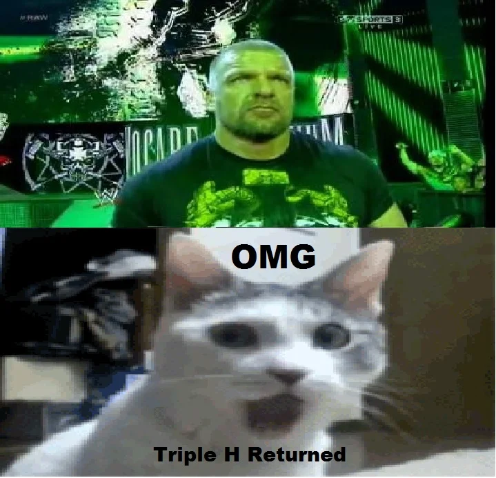 Meme combining wrestler Triple H image above the shocked OMG cat with caption 'OMG Triple H Returned'