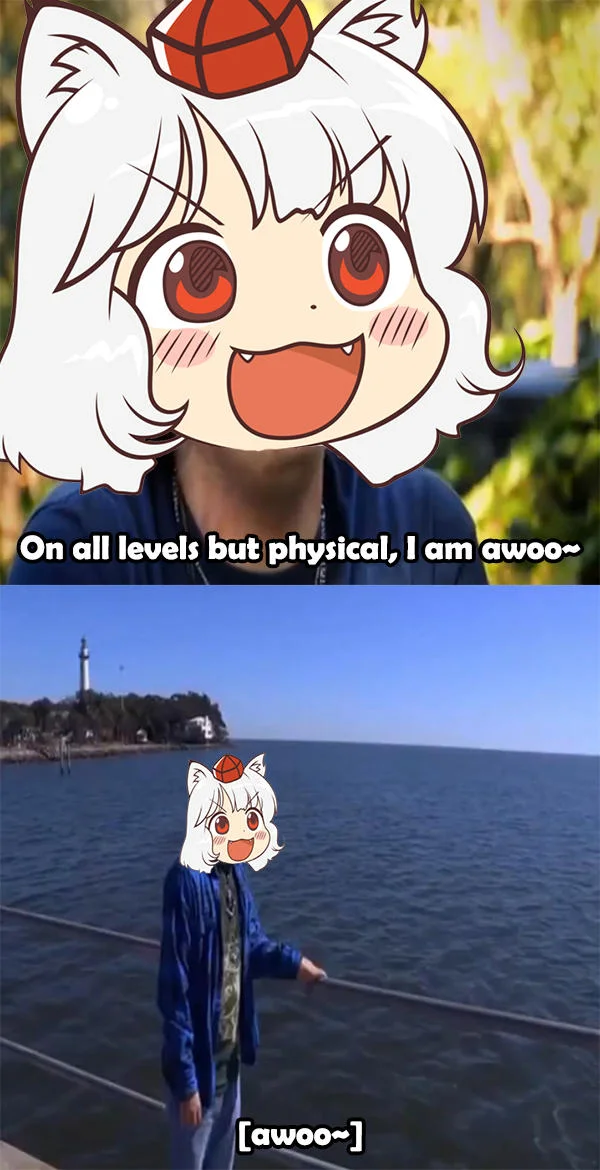 On All Levels Except Physical I Am A Wolf — Two-pane anime girl meme with 'On all levels but physical, I am awoo~' text.