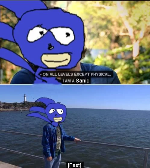 On All Levels Except Physical I Am A Wolf — Two-pane blue animated character meme 'On All Levels Except Physical, I Am A Sanic.'