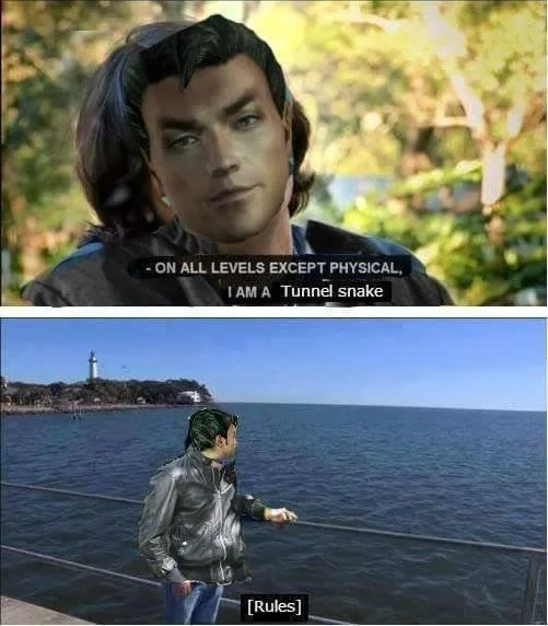 On All Levels Except Physical I Am A Wolf — Two-pane meme with 'On All Levels Except Physical, I Am A Tunnel Snake' and fishing labeled '[Rules].'