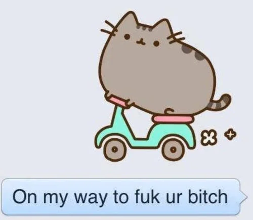 On My Way To Steal Yo Girl — Cute Pusheen cat character riding teal scooter with message bubble text.