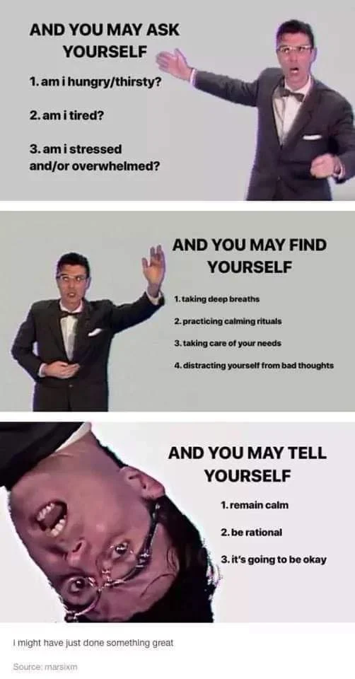 Once in a Lifetime — Three-panel meme of David Byrne dancing captioned with mental health self-care lists based on the song's lyrics.