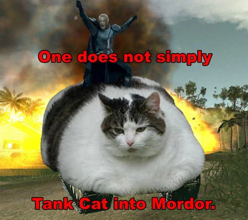 One Does Not Simply Walk Into Mordor — Photoshop of a large fat cat with villain on top against fiery background, captioned 'One does not simply Tank Cat into