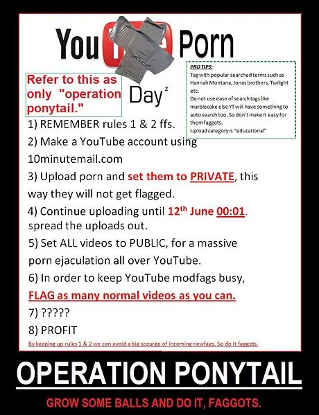 Operation YouTube — Operation Ponytail motivational poster with YouTube Porn Day 2 branding