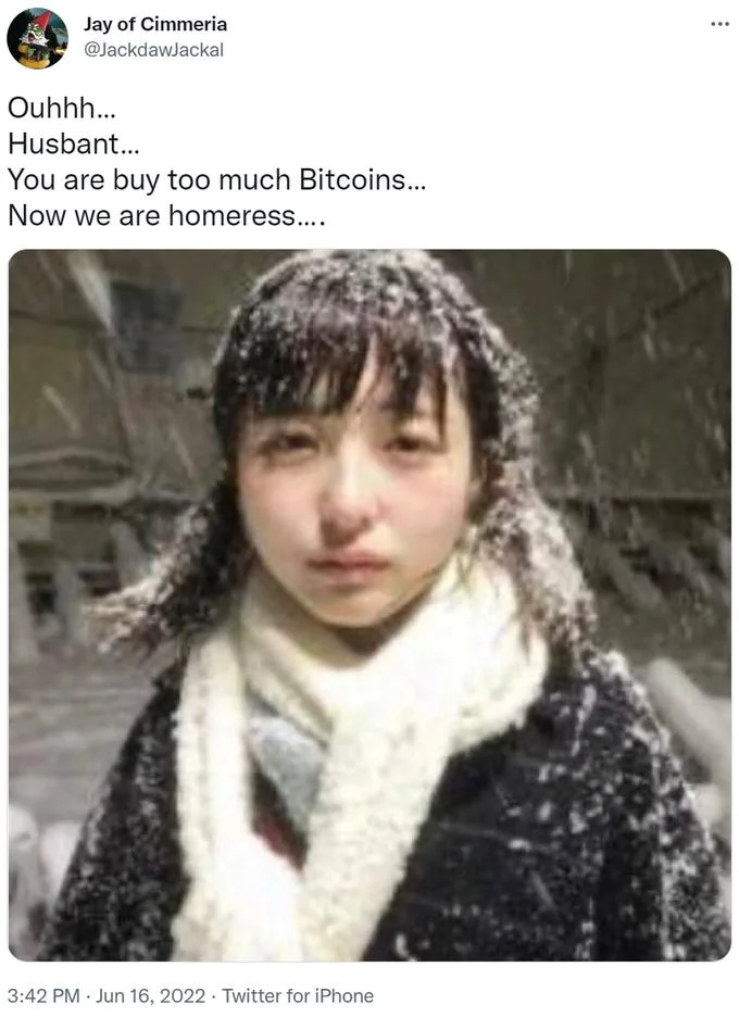 Ouhhh... Husbant... Now We Are Homeress... — Tweet by Jay of Cimmeria using the snow-covered woman image with text about buying too many Bitcoins.
