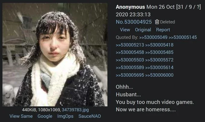 Ouhhh... Husbant... Now We Are Homeress... — 4chan post screenshot featuring the snow-covered woman with the text 'Husbant, you buy too much video games, now