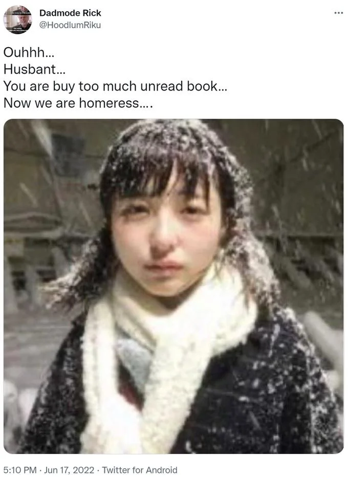Ouhhh... Husbant... Now We Are Homeress... — Tweet by Dadmode Rick featuring the snow-covered woman meme with text about buying too many unread books.