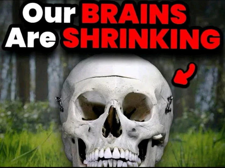 Clean template with human skull centered with 'Our BRAINS Are SHRINKING' text and arrow.