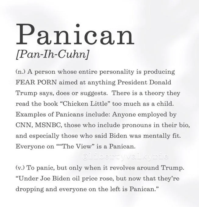 A dictionary-style entry for 'Panican' with pronunciation, definitions, and usage examples referencing CNN, MSNBC, and The View.