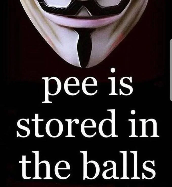 Guy Fawkes Anonymous mask with caption 'pee is stored in the balls'.