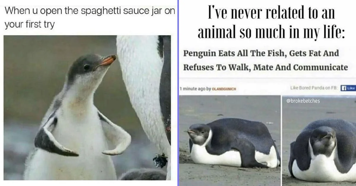 A meme collage featuring penguin imagery with impact font text discussing penguin behavior and eating habits with multiple references.