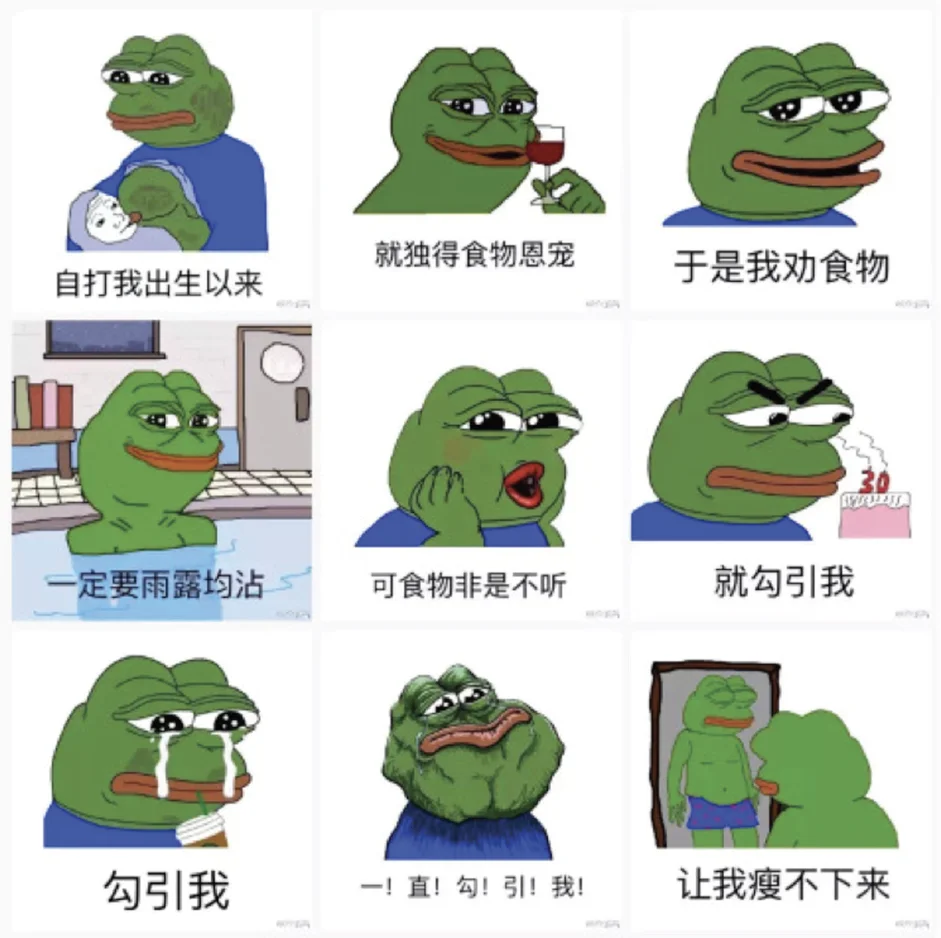 Nine distinct Pepe the Frog reaction illustrations arranged in a grid depicting different emotional states with Chinese text captions below each panel.