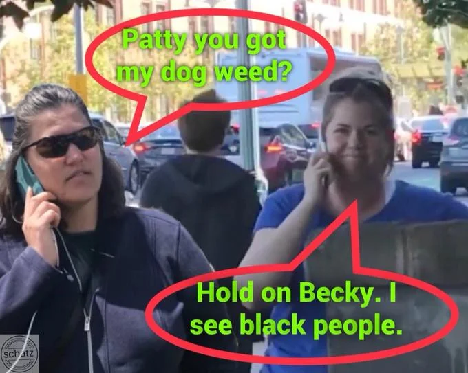 Rosa Parks bus photo edited to include BBQ Becky and Permit Patty.
