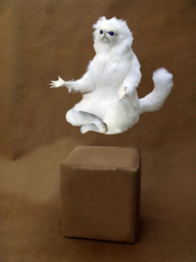 Persian Cat Room Guardian — White Persian cat sculpture floating in mid-air above a cardboard box.