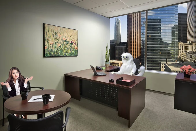 Persian Cat Room Guardian — Persian cat sculpture photoshopped onto an office desk facing a shrugging woman.