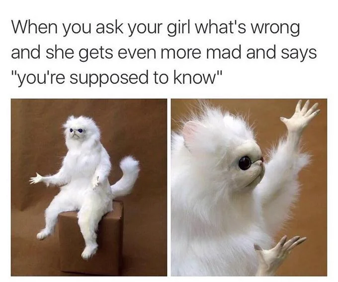 Persian Cat Room Guardian — Persian cat meme with caption about girlfriend saying you're supposed to know.