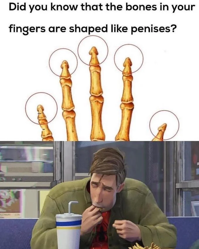 Peter B. Parker Sucking Fingers — Finger bones diagram above Peter B. Parker sucking his fingers