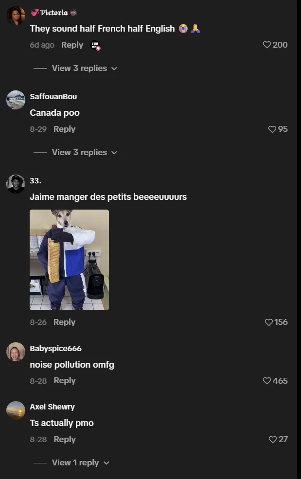 "Petit Beurre" by L'UNIVEUW — TikTok comments section with reactions and a dog-in-tracksuit Petit Beurre reply image