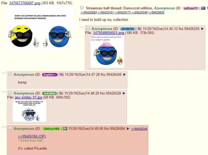 Picardía — 4chan thread screenshot discussing the name Picardia