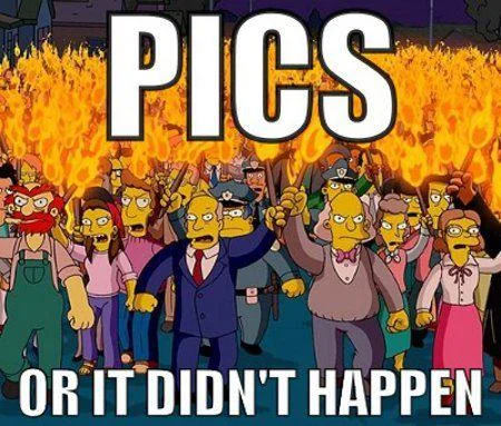 Pics Or It Didnt Happen — An image macro using a Simpsons scene of an angry torch-wielding mob with white impact font text reading 'PICS' and 'OR IT DIDN'T