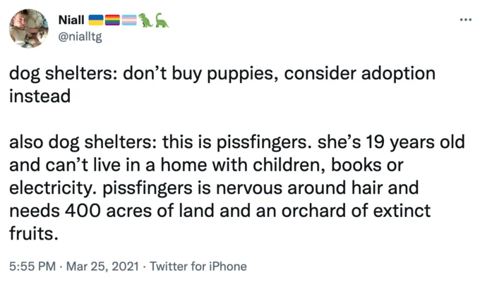 Screenshot of @nialltg Twitter post coining the pissfingers meme about absurd shelter adoption rules.