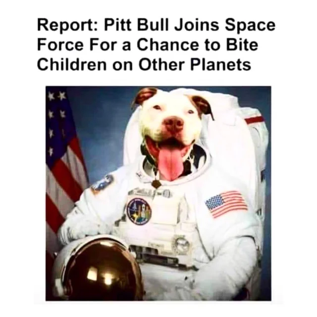 Pitbulls vs. Toddlers — Pitbull in astronaut suit with mock headline about joining Space Force to bite children on other planets