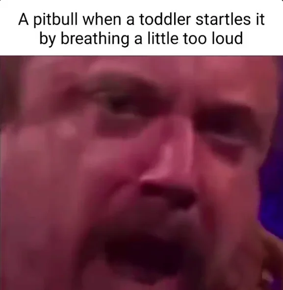 Pitbulls vs. Toddlers — Intense red-tinted close-up of a man's face used to represent a startled pitbull reaction