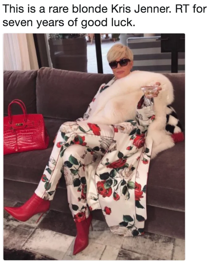 Platinum Blonde Kris Jenner — Kris Jenner platinum blonde meme variation