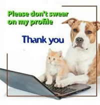 Please Do Not Swear On My Profile Thanks — A dog and cat featured with text reading 'Please don't swear on my profile' and 'Thank you'.