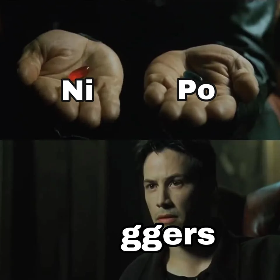 POGGERS — Matrix red pill/blue pill meme with Ni, Po, and ggers labels