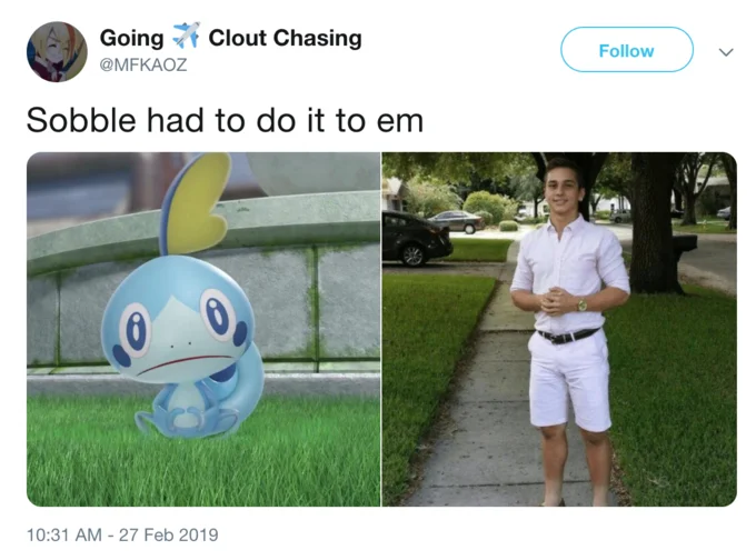 Pokémon Sword and Shield — Two-panel Scorbunny comic reacting in horror to being labeled fire and fighting type.
