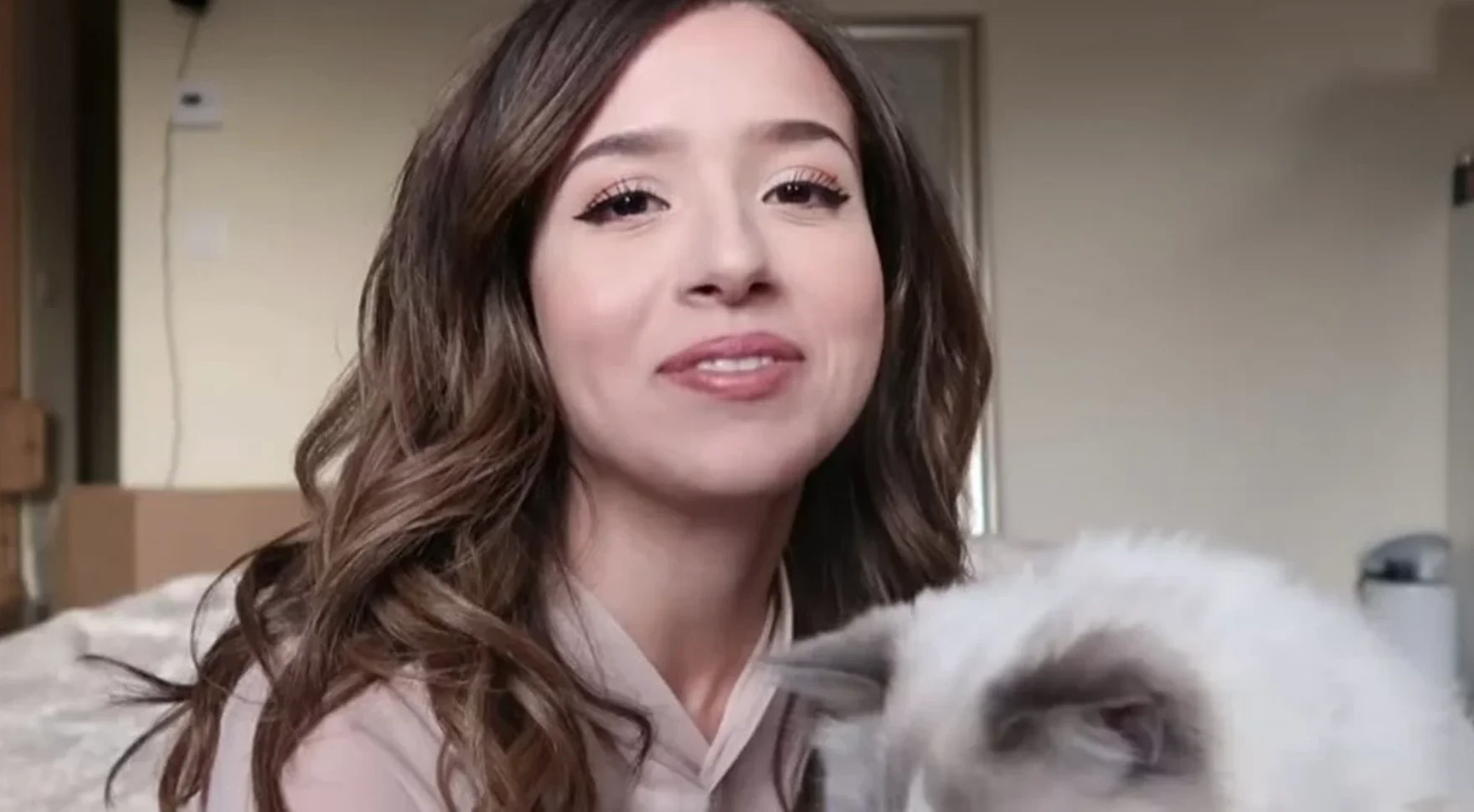Pokimane smiling on camera during a stream with her white cat beside her