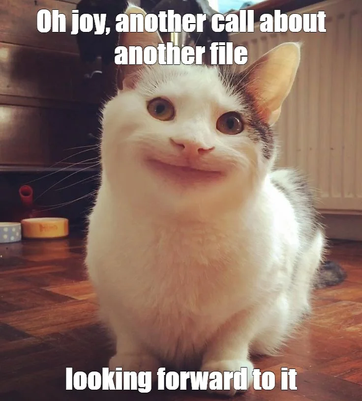The polite cat in an indoor setting with text reading 'Oh joy, another call about another file' and 'looking forward to it.'