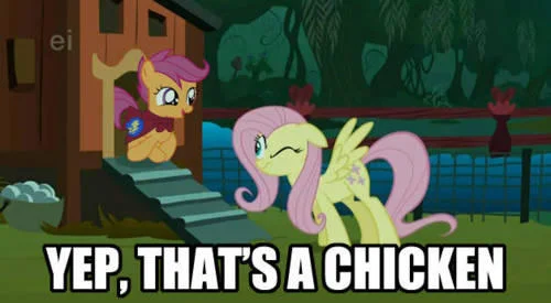 Pony Re Imaginings — A scene from My Little Pony showing Scootaloo with white impact text reading 'YEP, THAT'S A CHICKEN' playing on the show joke.