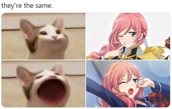 Korean Twitter post screenshot featuring the two Pop Cat mouth frames