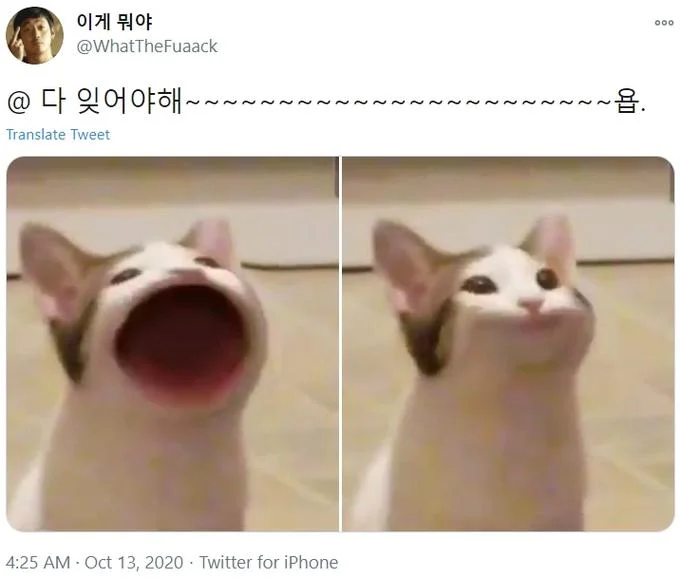Animated GIF of Pop Cat opening and closing its mouth