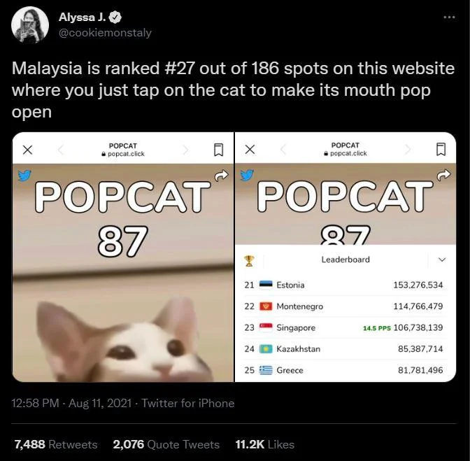 They're the same comparison meme of Pop Cat and a pink-haired anime character