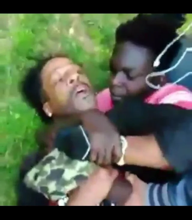 Popeyes Biscuits