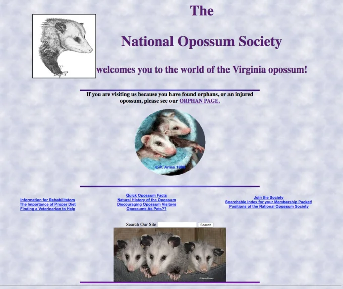 Possums — Screenshot of the National Opossum Society vintage website homepage
