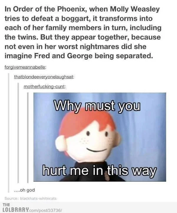 Tumblr post comparing a Hunger Games passage to the Potter Puppet Pals oatmeal monologue.