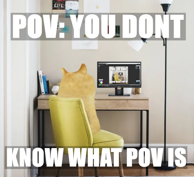 POV Memes — Cat at desk meta POV meme text 'you don't know what POV is'