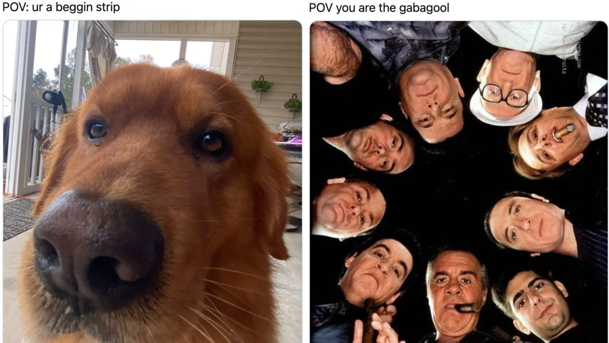 POV Memes — POV meme comparison showing two different scenarios with reaction images side by side