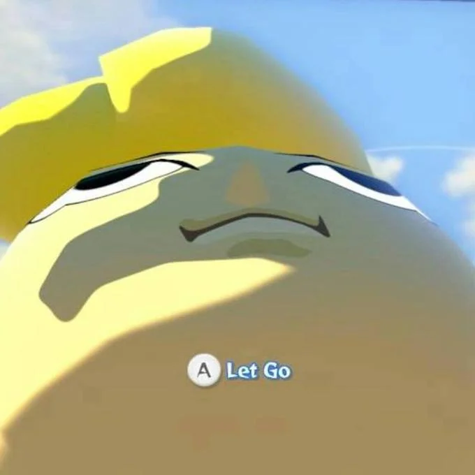 [Press A] to Let Go — Close-up of Link's warped face in Breath of the Wild with the 'A Let Go' prompt
