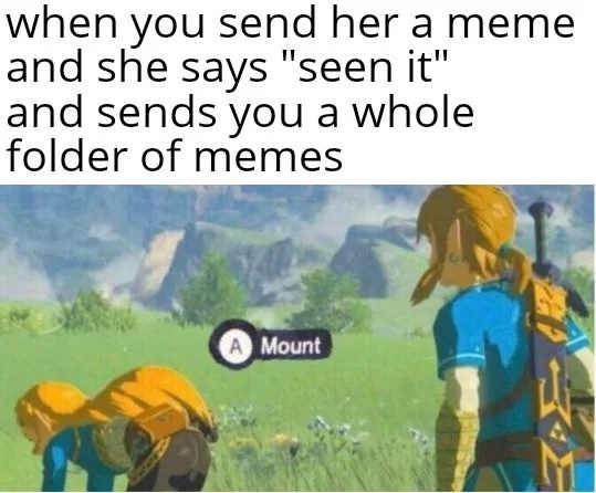Press A to Mount — Zelda meme about a girl sending a folder of memes back with A Mount prompt