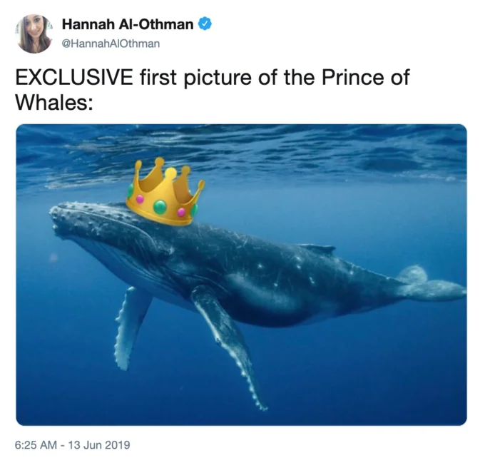 Prince of Whales — Illustration of a crowned whale with sword on a carriage pulled by crocodiles