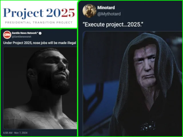 Twitter screenshot compilation featuring Project 2025 memes with viral references and social media commentary.