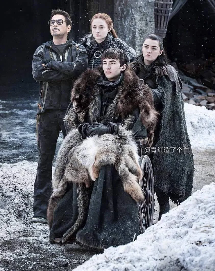 Protect The Starks