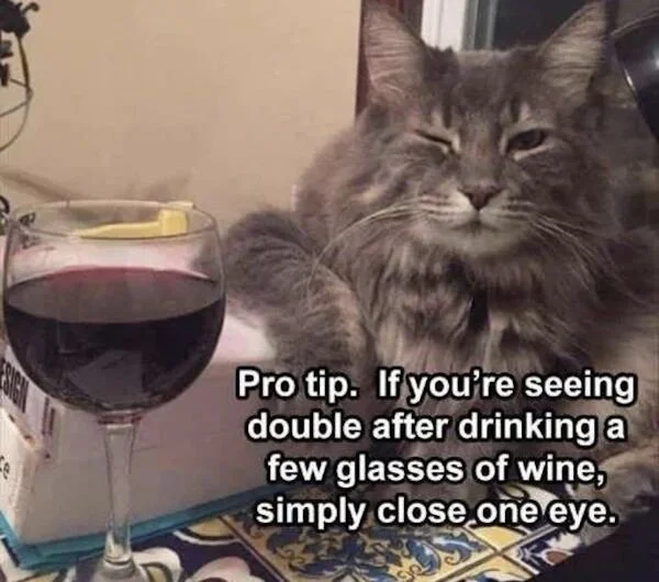 PROTIP — Cat next to wine glass with 'pro tip' about closing one eye when seeing double.