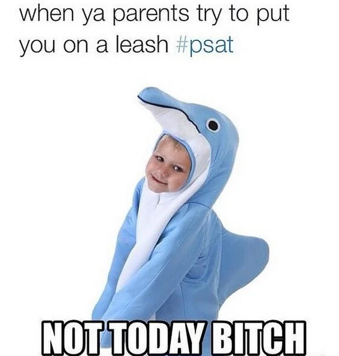 Child in blue dolphin costume with psat meme text about resisting a leash