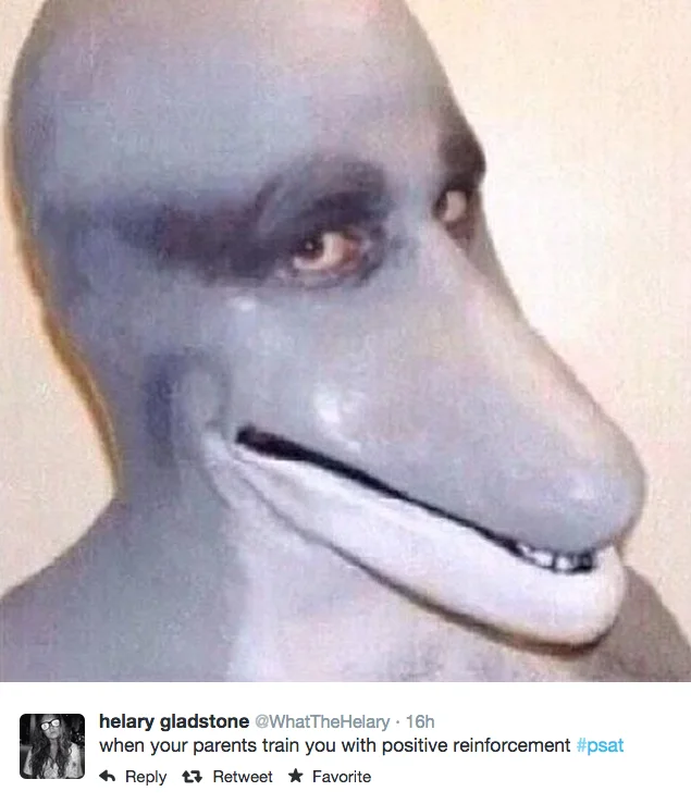 Tweet with distorted dolphin-like human face and caption about positive reinforcement tagged psat